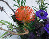 Protea Paradise - God's Garden Treasures
