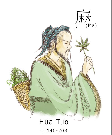Chinese doctor Hua Tua mixed wine &cannabisin order to use it as an anesthetic