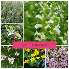 Plants for Ponds - UK Pond Plant Specialist