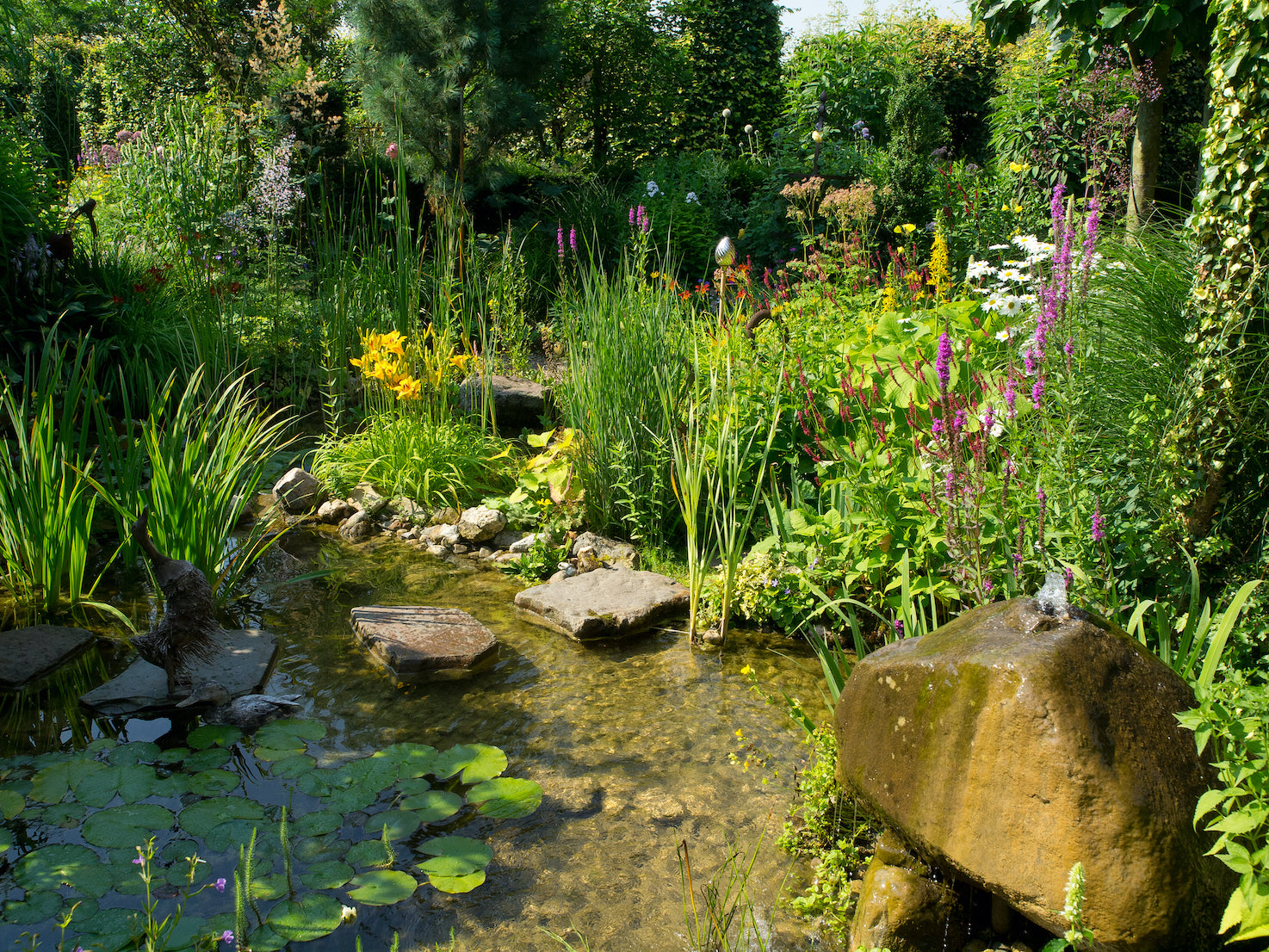 Gallery – Plants for Ponds