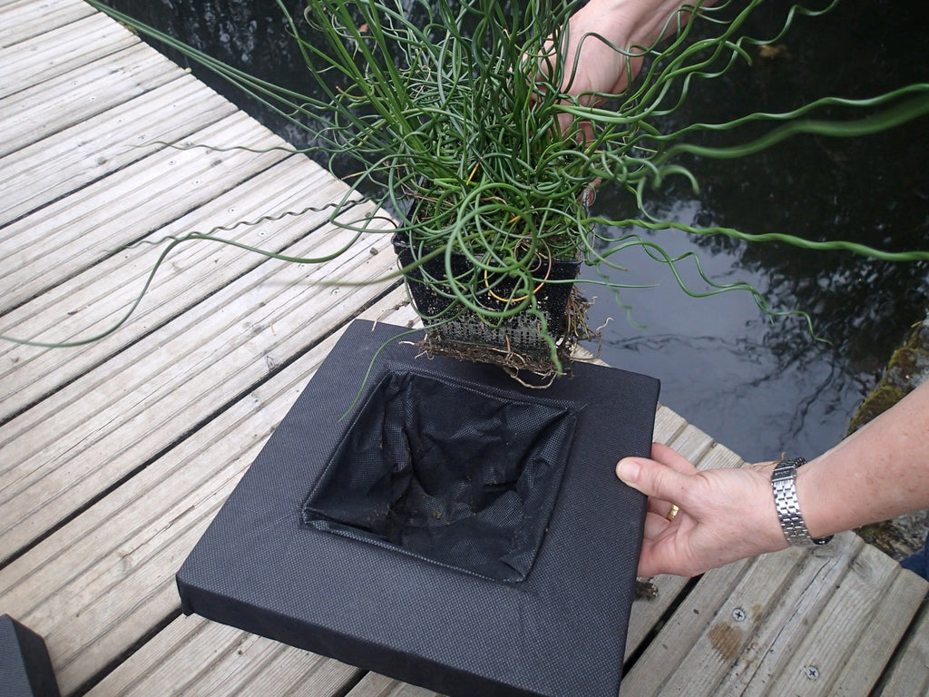 Floating Baskets - Plants for Ponds