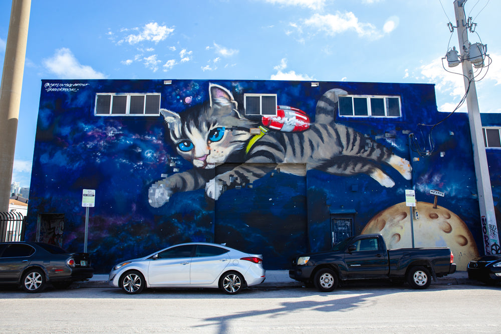 The Space Soaring Cat at Fun Dimension Wynwood