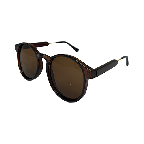 The Miami Classic Sunglasses | Wynwood Shop