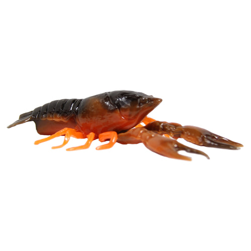 Hi-Def Craw 3.75-Inch 5-Pack - Golden Craw – Tackle HD