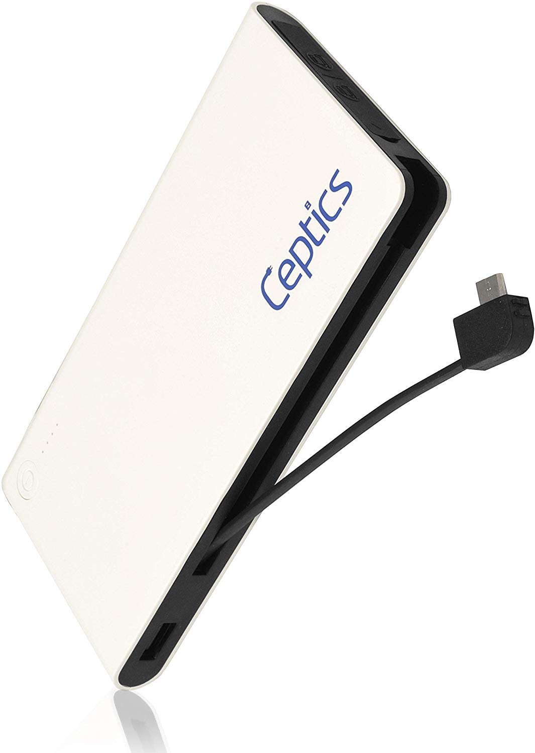 Portable Power Bank USB Battery Charger - 10,000 mAH - Dual USB output –  Ceptics