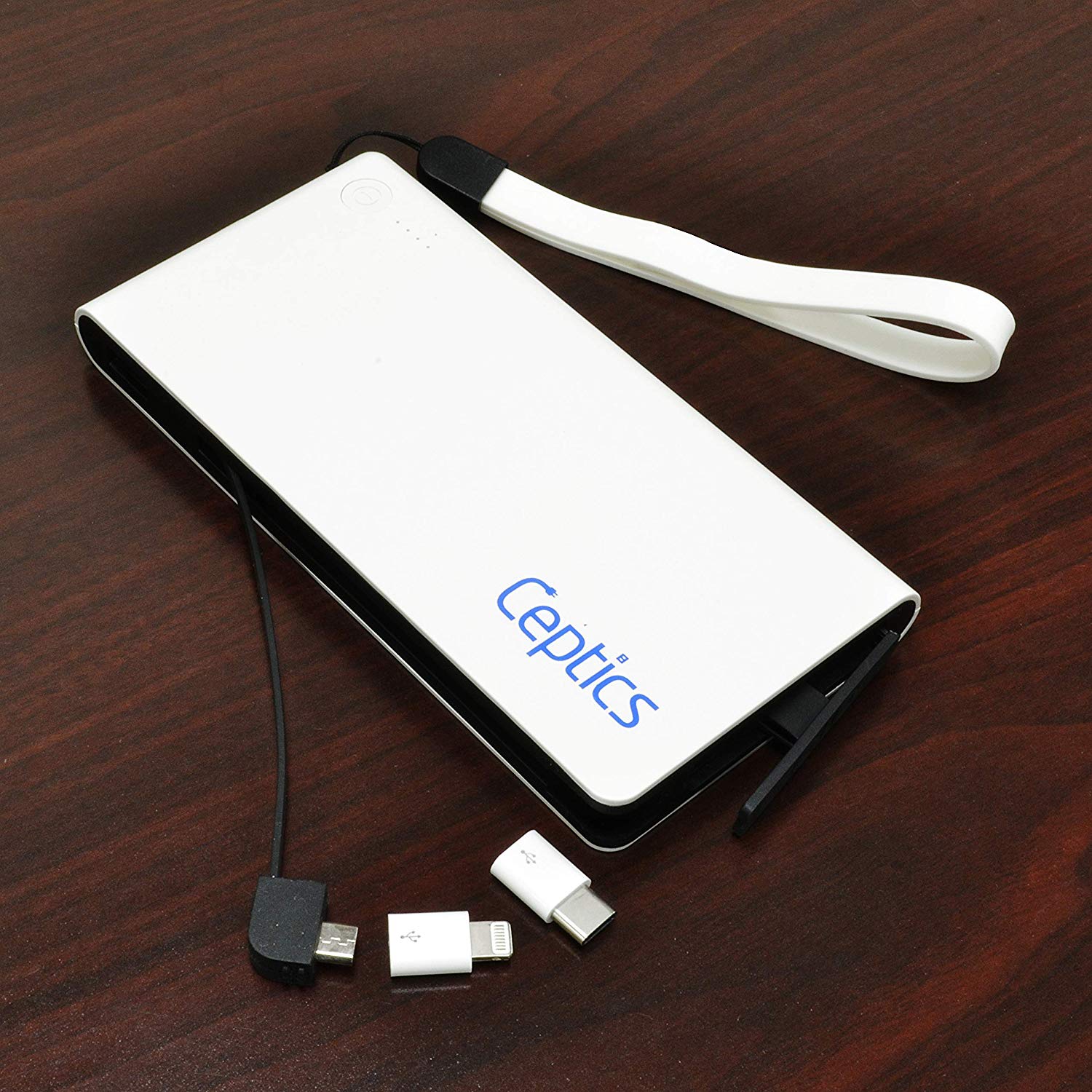 Portable Power Bank USB Battery Charger - 10,000 mAH - Dual USB output –  Ceptics