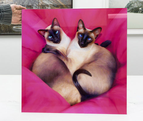 two siamese cats on glass