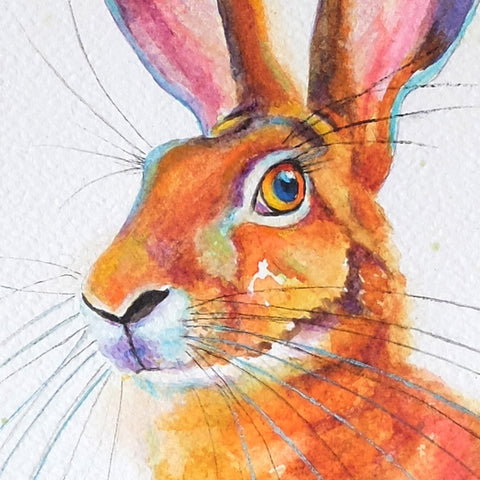 hare face in watercolour