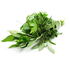 Herbs (Rosemary, Thyme, Sage)