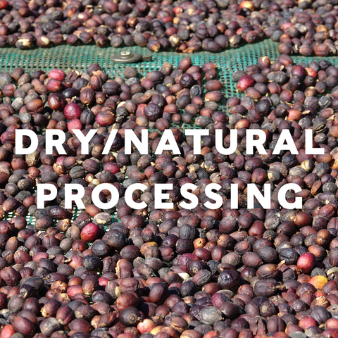 Cupping Coffee—A How To Process – Raven's Brew Coffee, Inc.