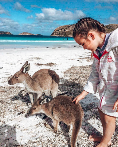 Swoodi swim towels at the beach with a kangaroo at Lucky Bay Western Australia