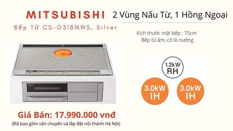 Bếp từ Nhật nội địa có lò nướng CS-G318MWS