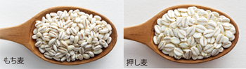Nồi cơm Nhật nấu hạt lúa mạch Zojirushi NW-VB18