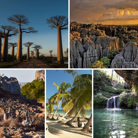 Madagascar,country's rich heritage to create captivating pieces.