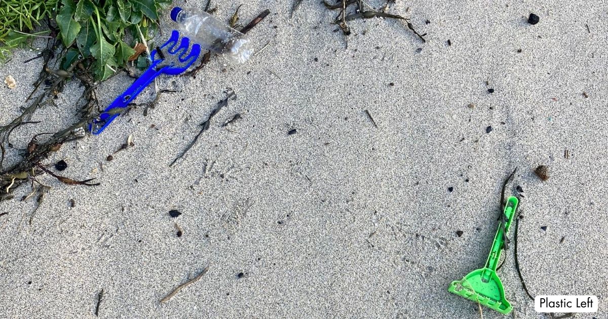 Beach Clean St Ives Cornwall Plastic