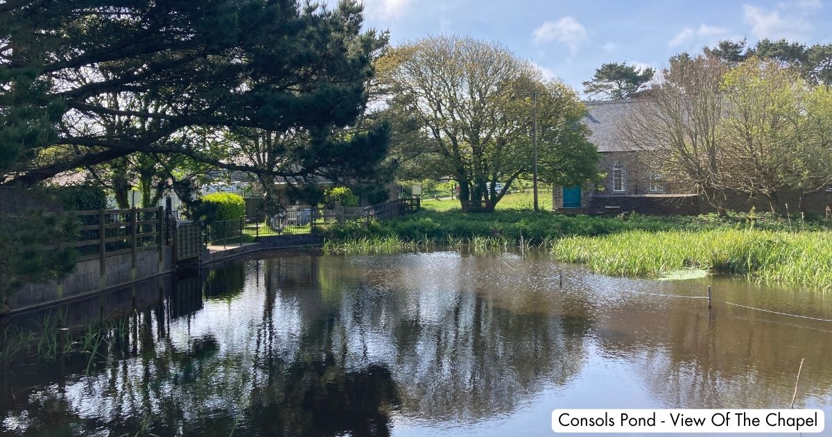 Consols Pond St Ives Cornwall
