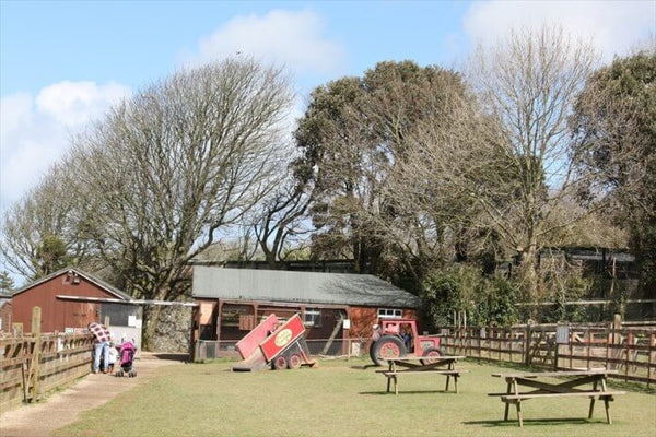 Paradise Park Wildlife Sanctuary - Access Cornwall