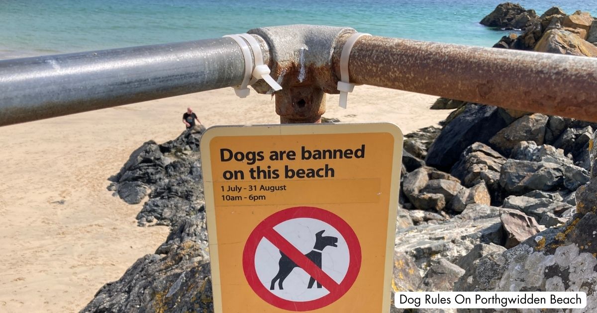Porthgwidden Beach St Ives Cornwall Dog Ban