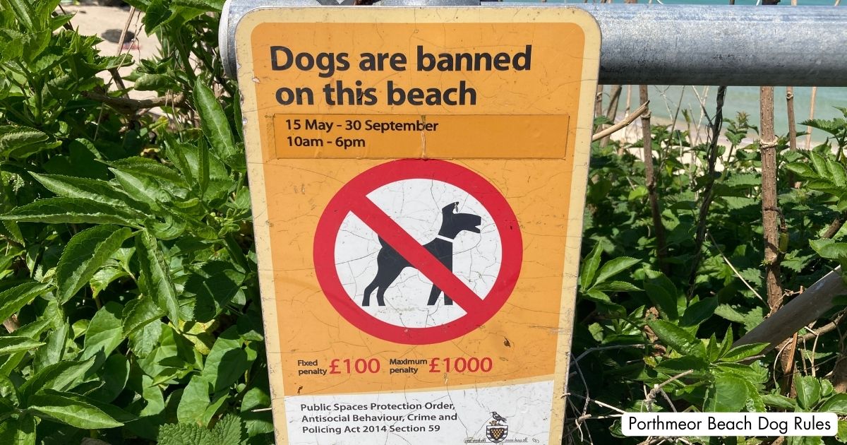 Porthmeor Beach St Ives Cornwall Dog Rules