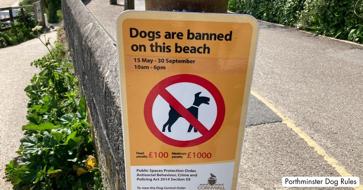 Porthminster Beach St Ives Cornwall Dog Ban