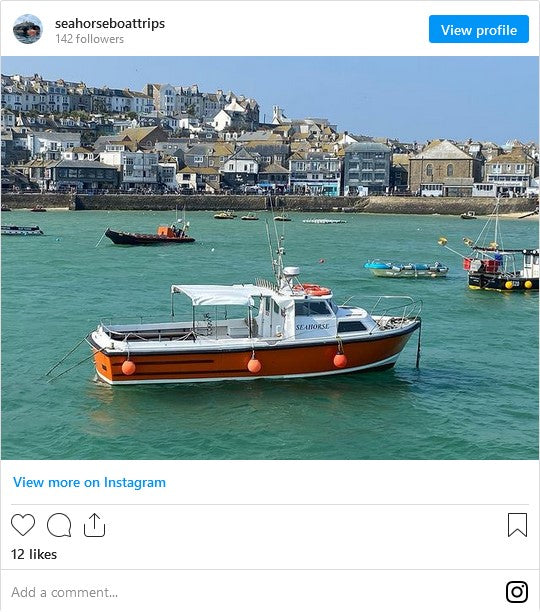 Seahorse Boat Trip St Ives Cornwall