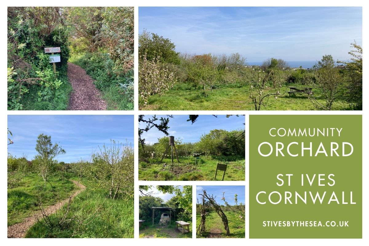 St Ives Community Orchard Cornwall