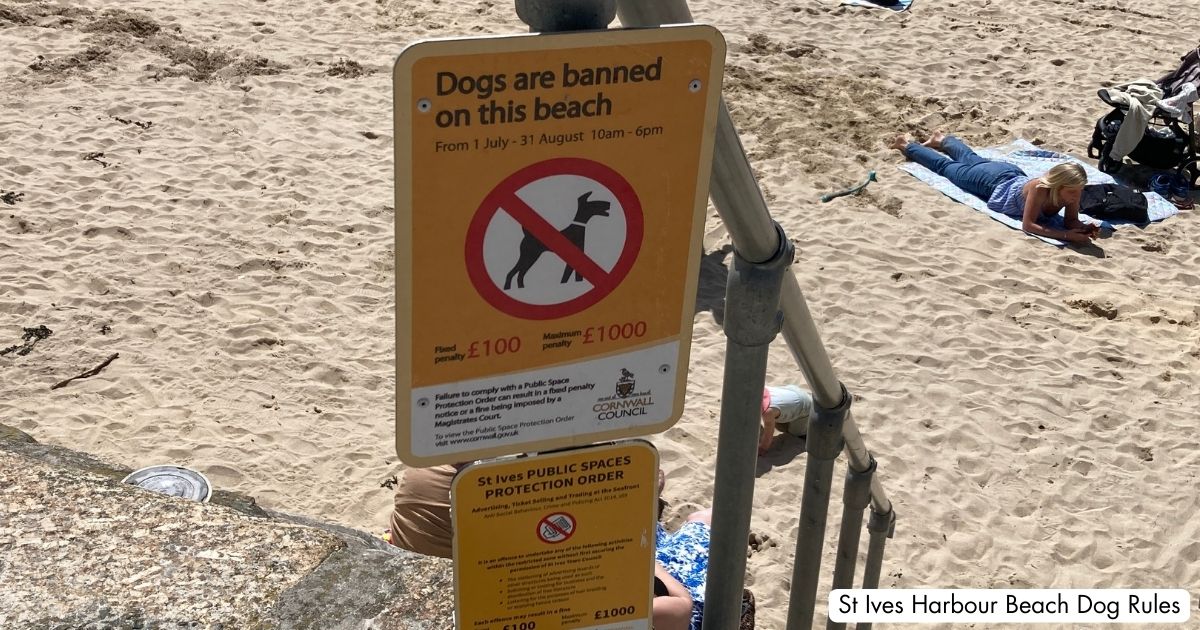 St Ives Harbour Beach Cornwall Dogs