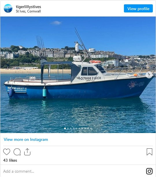 Tiger Lilly Boat Trips St Ives Cornwall