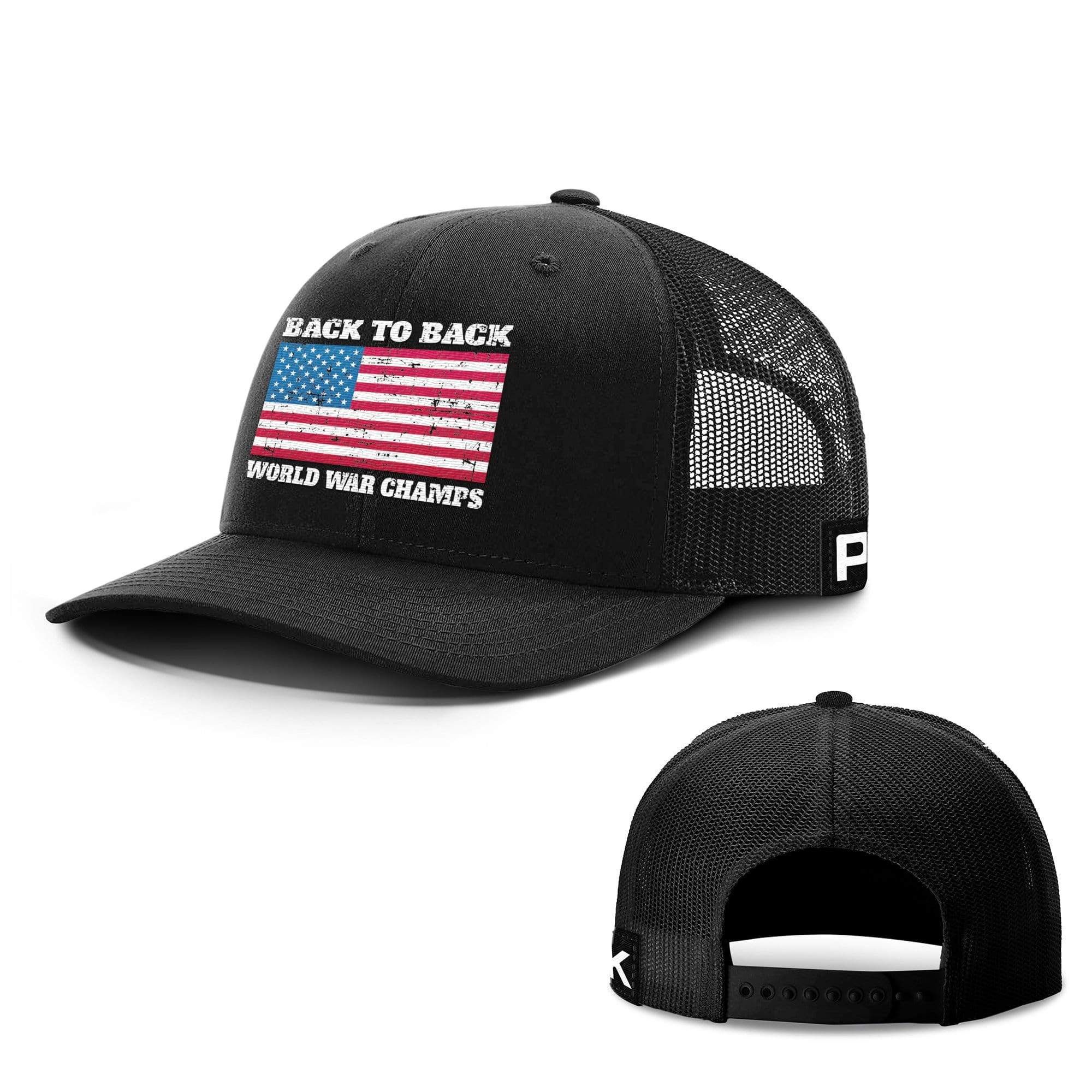 back to back world war champs hat