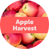 Apple Harvest Soy Wax Melts