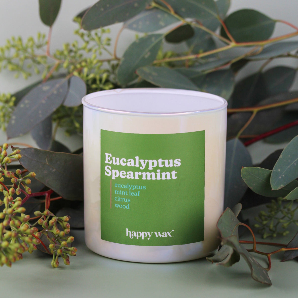 Eucalyptus Spearmint Wax Melts - Formula 117 - Shortie's Candle