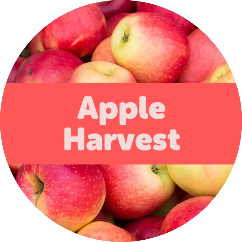 Apple Harvest Wax Melts - Happy Wax product image