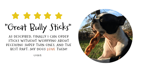 Linda B. says bully sticks for dogs are great