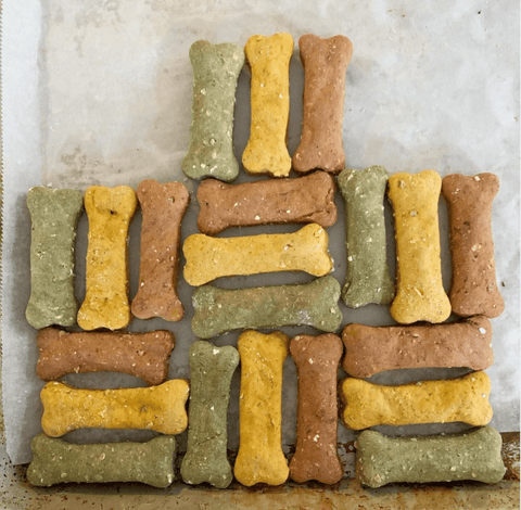 Multi color dog biscuits stacked