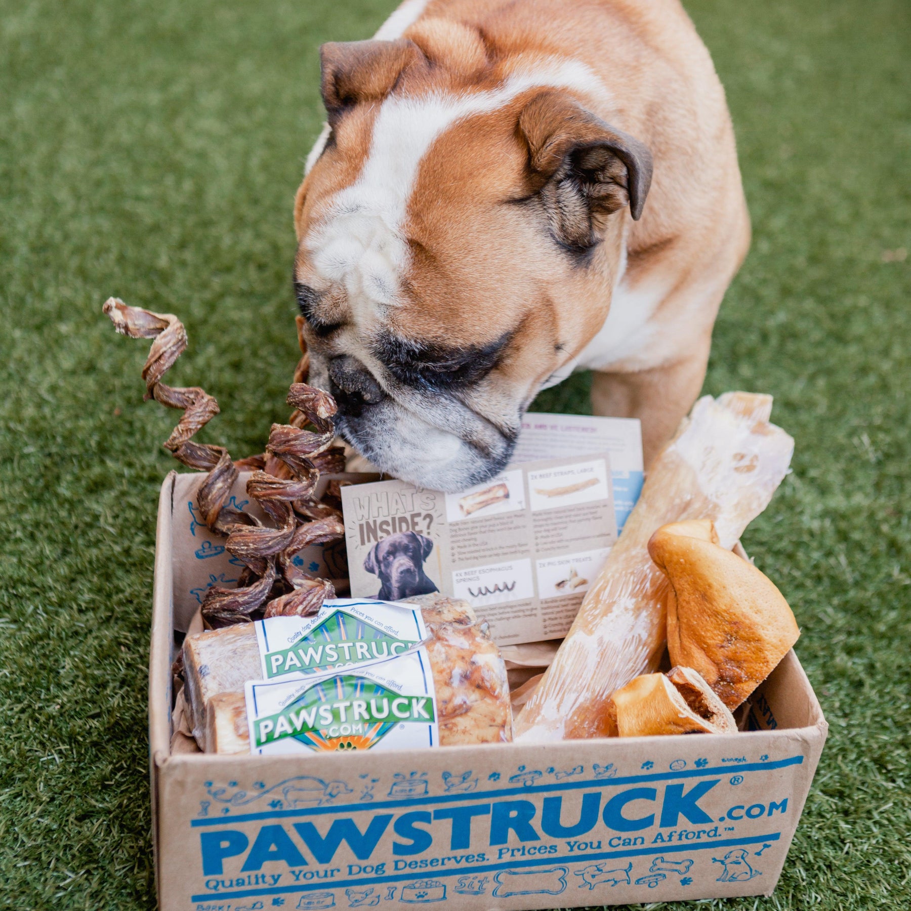 pawstruck himalayan dog chew