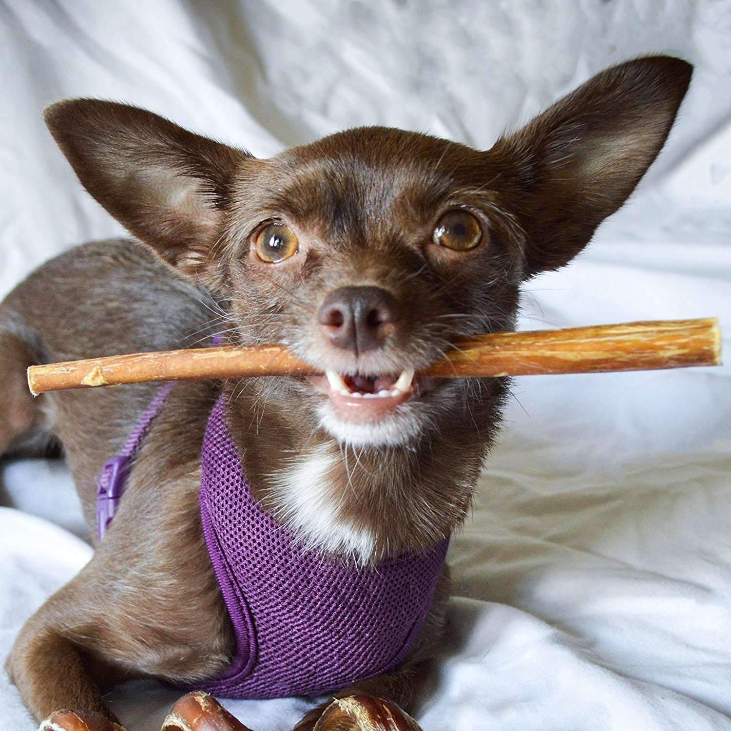 bully sticks for small dogs