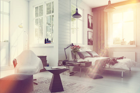 photo of large modern bedroom with sunlight streaming inside.