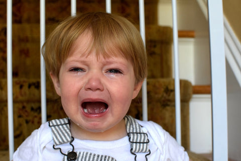 image of a toddler child crying