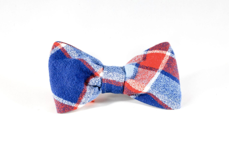 red white and blue bow tie dog collar