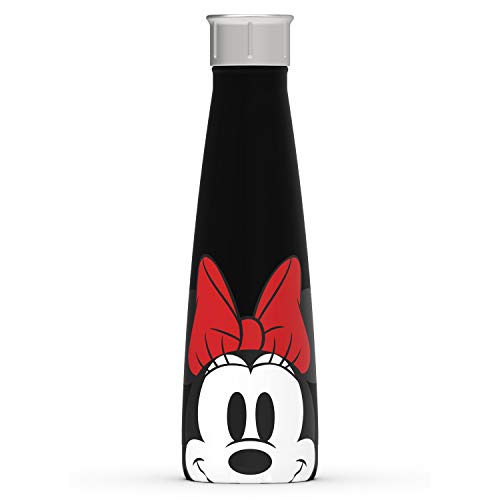 Water Bottle 15 oz Stainless Steel Insulated Mickey/ Minnie Mouse Disney