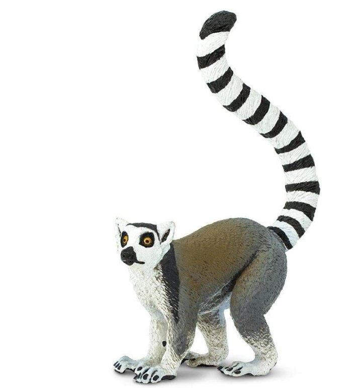 Lemur PNG transparent image download, size: 467x700px