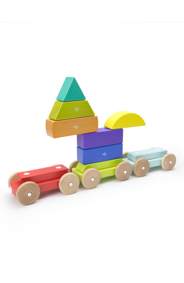 tegu magnetic shape train