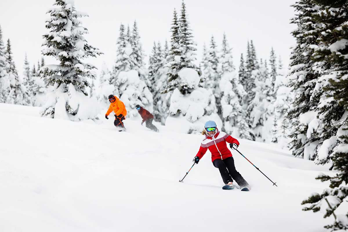 Little and Large | Heliskiiing in British Columbia