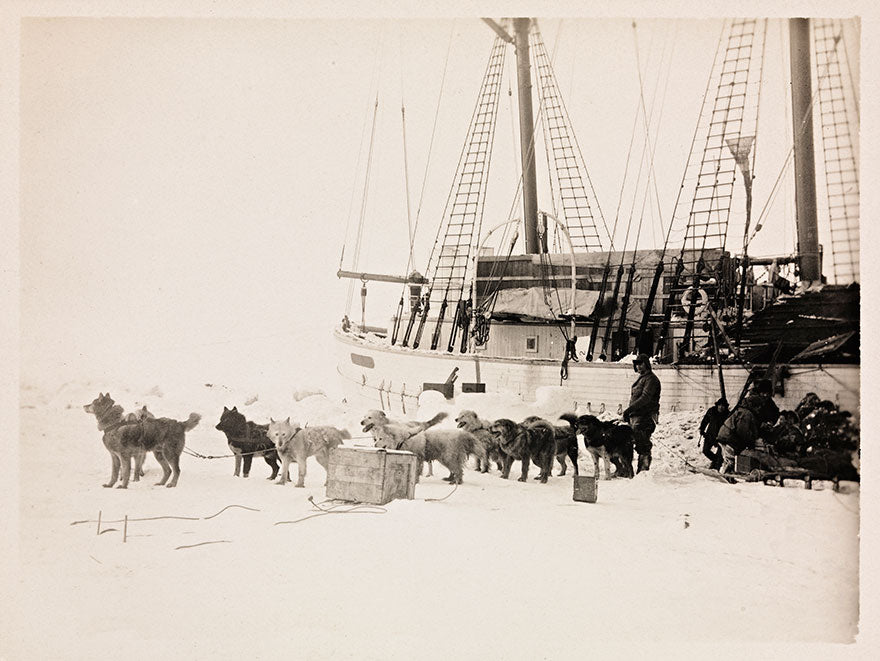 A dog team in front of the ship Maud, during Amundsen’s failed attempt in 1918 to reach the North Pole by traversing the Northeast Passage.