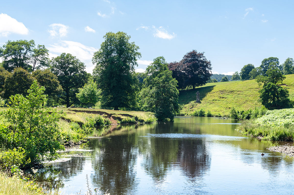 The winding River Derwent at Chatsworth Park in the Peak District, Derbyshire.