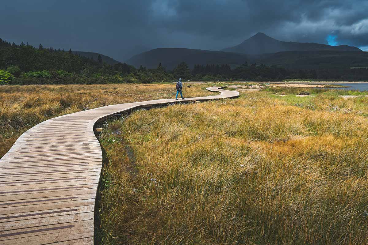 Hiker with hiking backpack walks across boardwalk covering a blanket bog, with mountains in background, Northern Ireland. 
