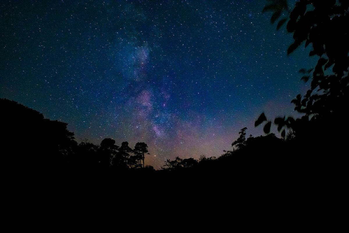 Views of the Milky Way from the forests of Exmoor