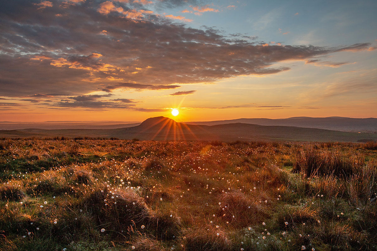 A sunset view of Slemish Mountain and the surrounding fields, hills and flora and fauna in County Antrim, Northern Ireland