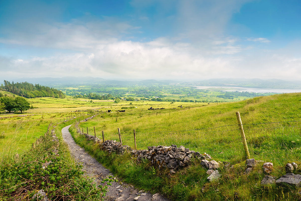 A hiking footpath on a sunny day with green fields, blue skies and the countryside in County Sligo, Ireland.