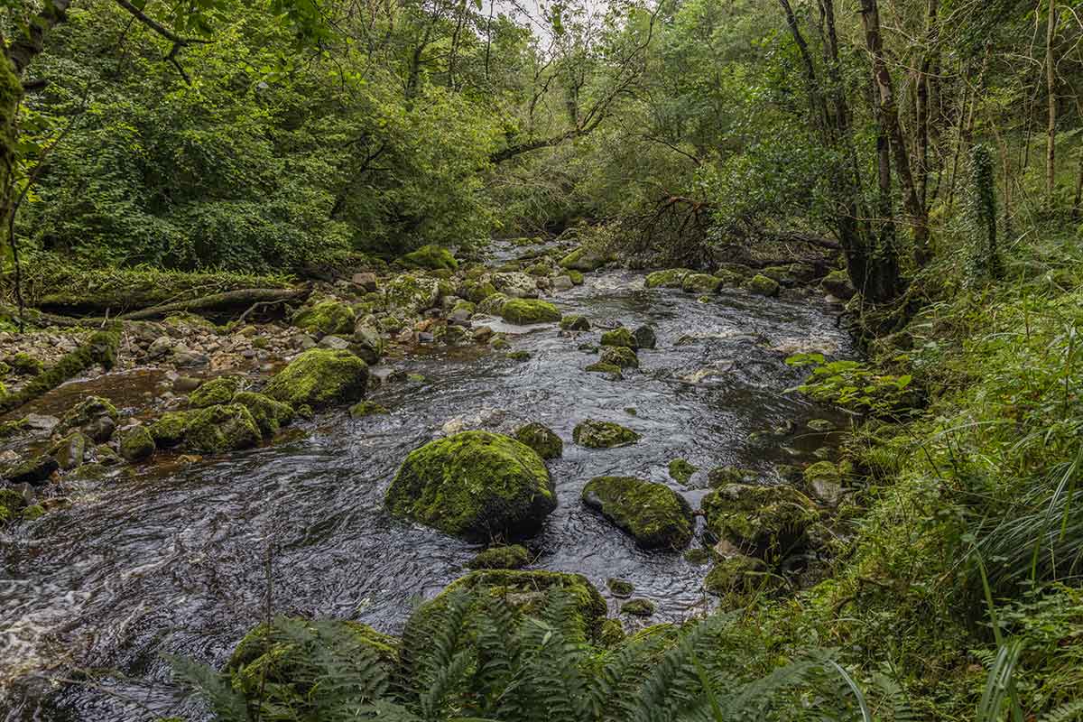 Cladagh glen and river in the Marble Arch Geopark in Fermanagh, Northern Ireland.